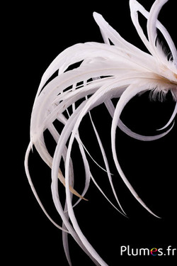 Coq fouet - 42-50 cm - blanc-crème naturel